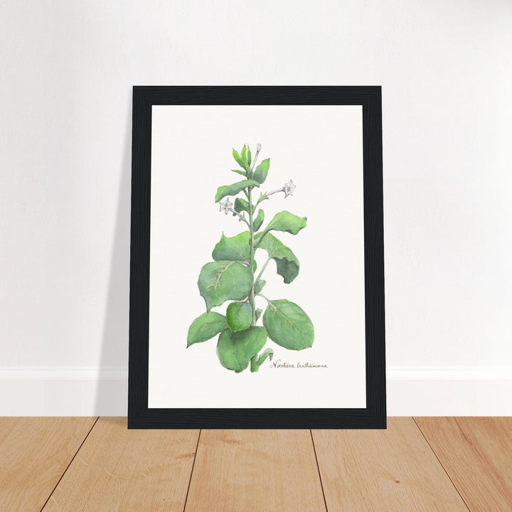 ec4310f8-0876-44d9-8971-5c73fe5339b0