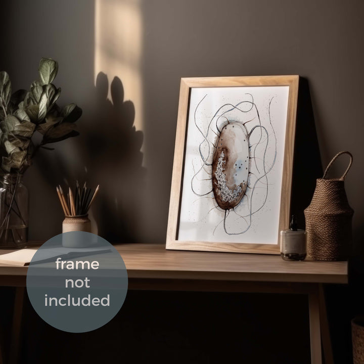 print of original watercolor painting of an E. coli bacterium by ontogenie, frame mockup