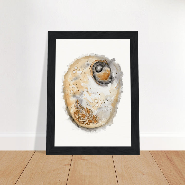 framed print of animal cell watercolor painting by ontogenie