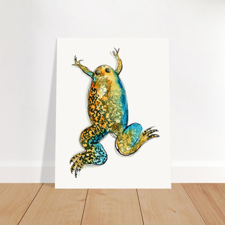 xenopus african clawed frog watercolor print by ontogenie
