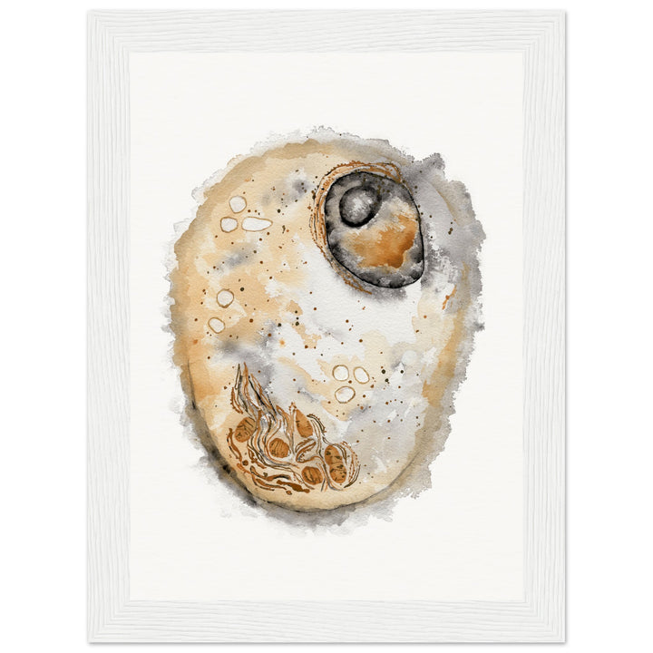 framed print of animal cell watercolor painting by ontogenie