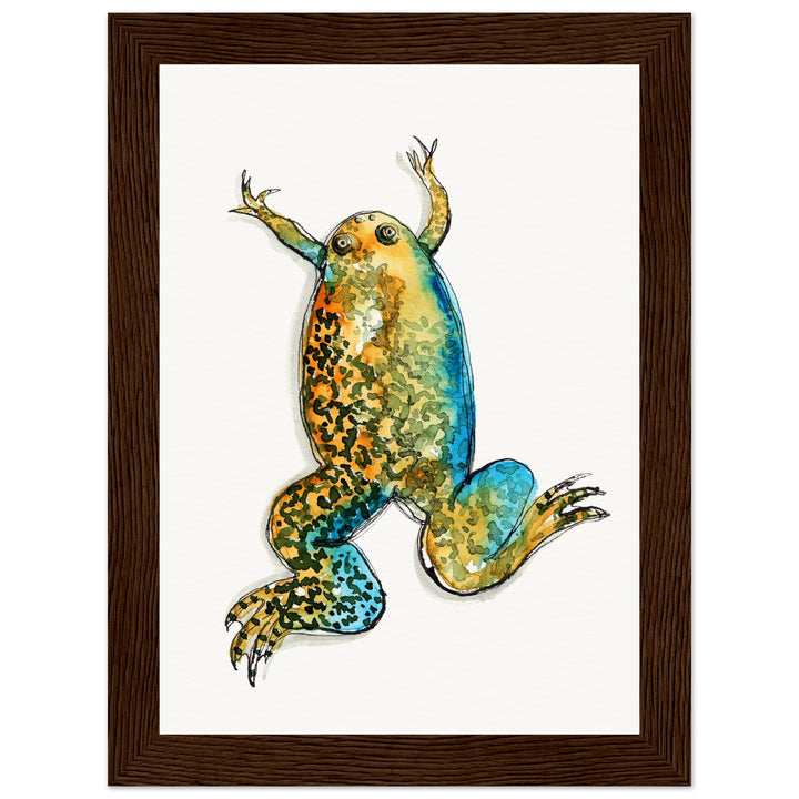 framed print of xenopus african clawed frog watercolor painting by ontogenie