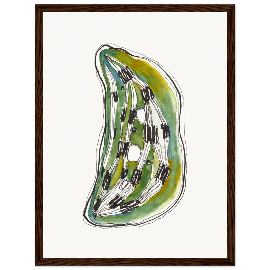 framed print of cell nucleus watercolor painting by ontogenie