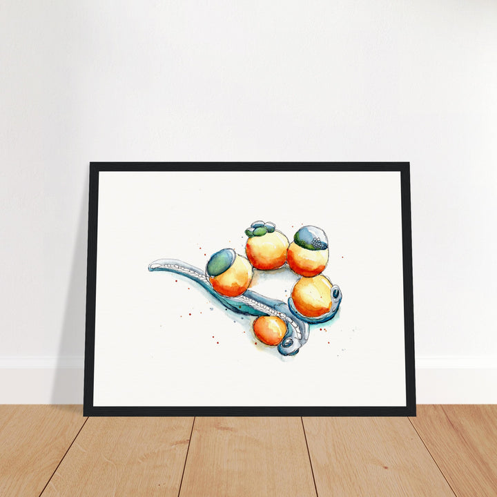 framed print of zebrafish development watercolor painting by ontogenie