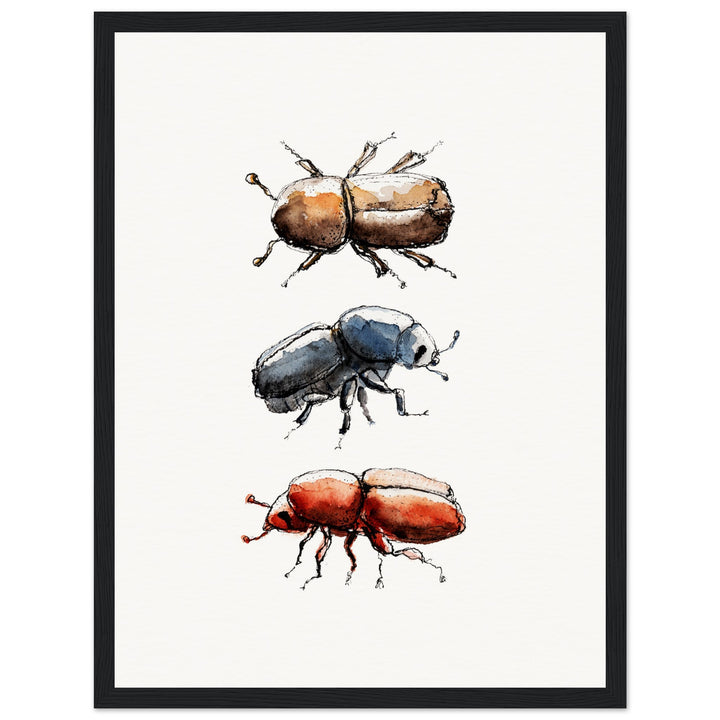 framed print of bark beetle watercolor painting by ontogenie