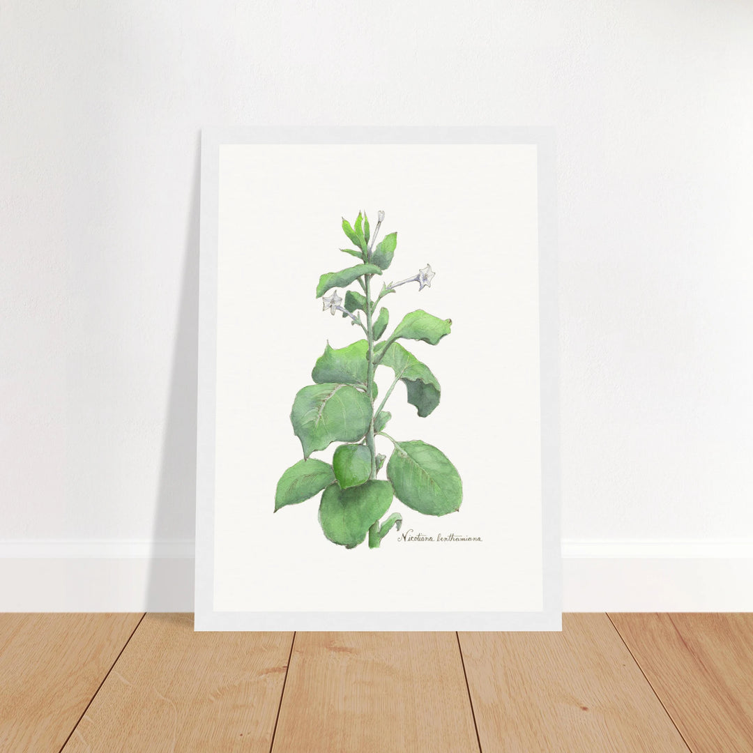 fda00e33-29a3-4354-9647-6984ff0489e7