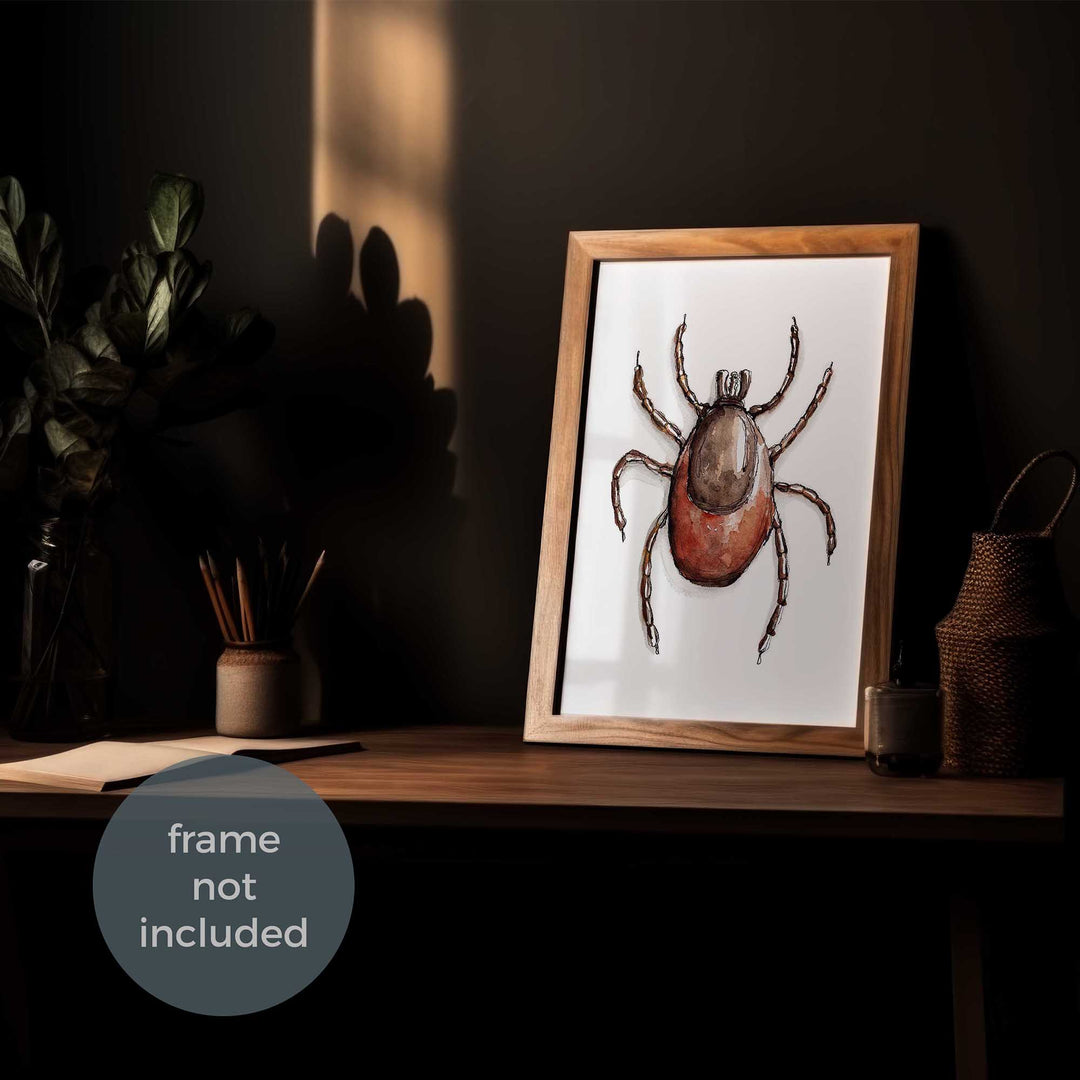 ixodes tick watercolor art print framed in room by ontogenie