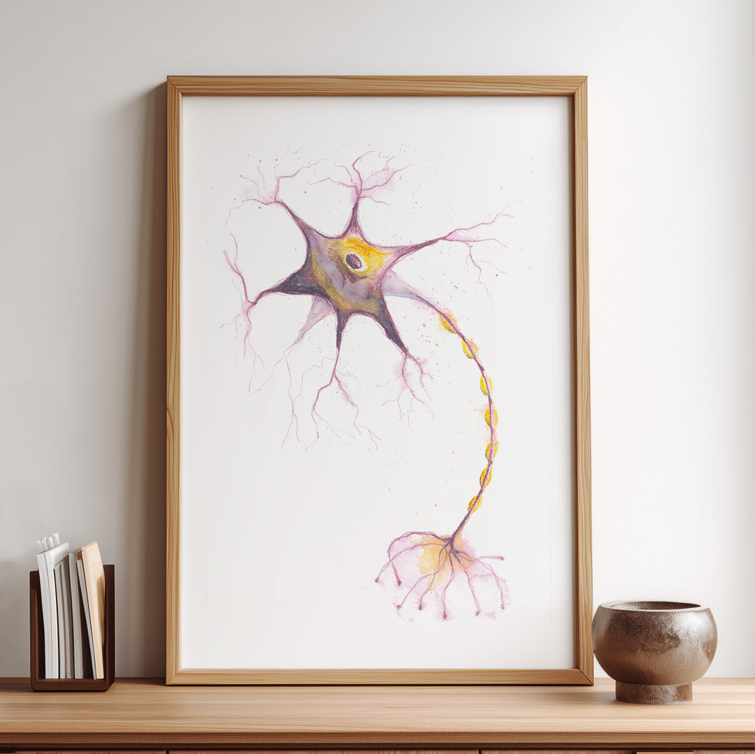 multipolar neuron watercolor art
