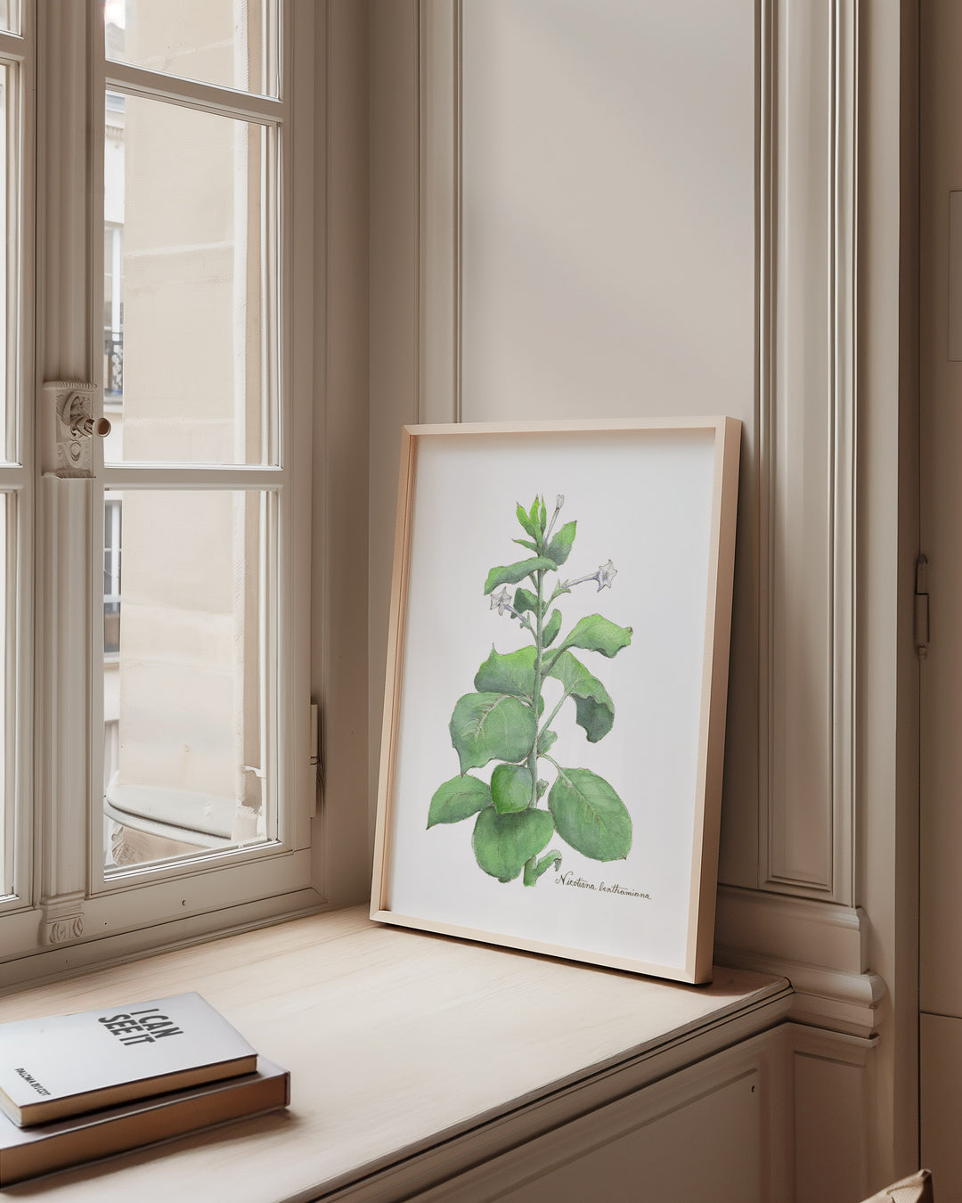 Nicotiana benthamiana plant framed print