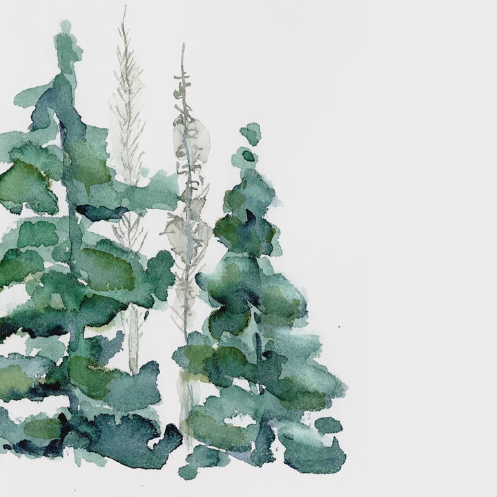 animation of spruce forest watercolor painting