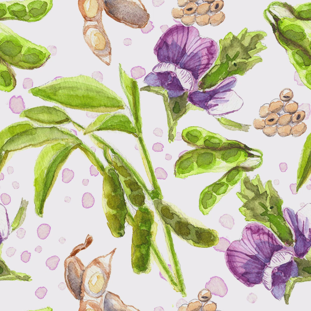 soybean watercolor video