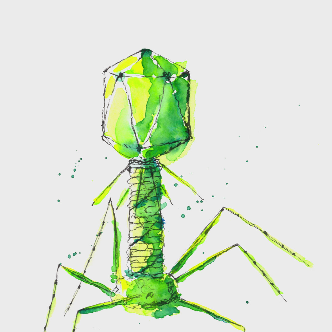 bacteriophage art print animated vide by ontogenie