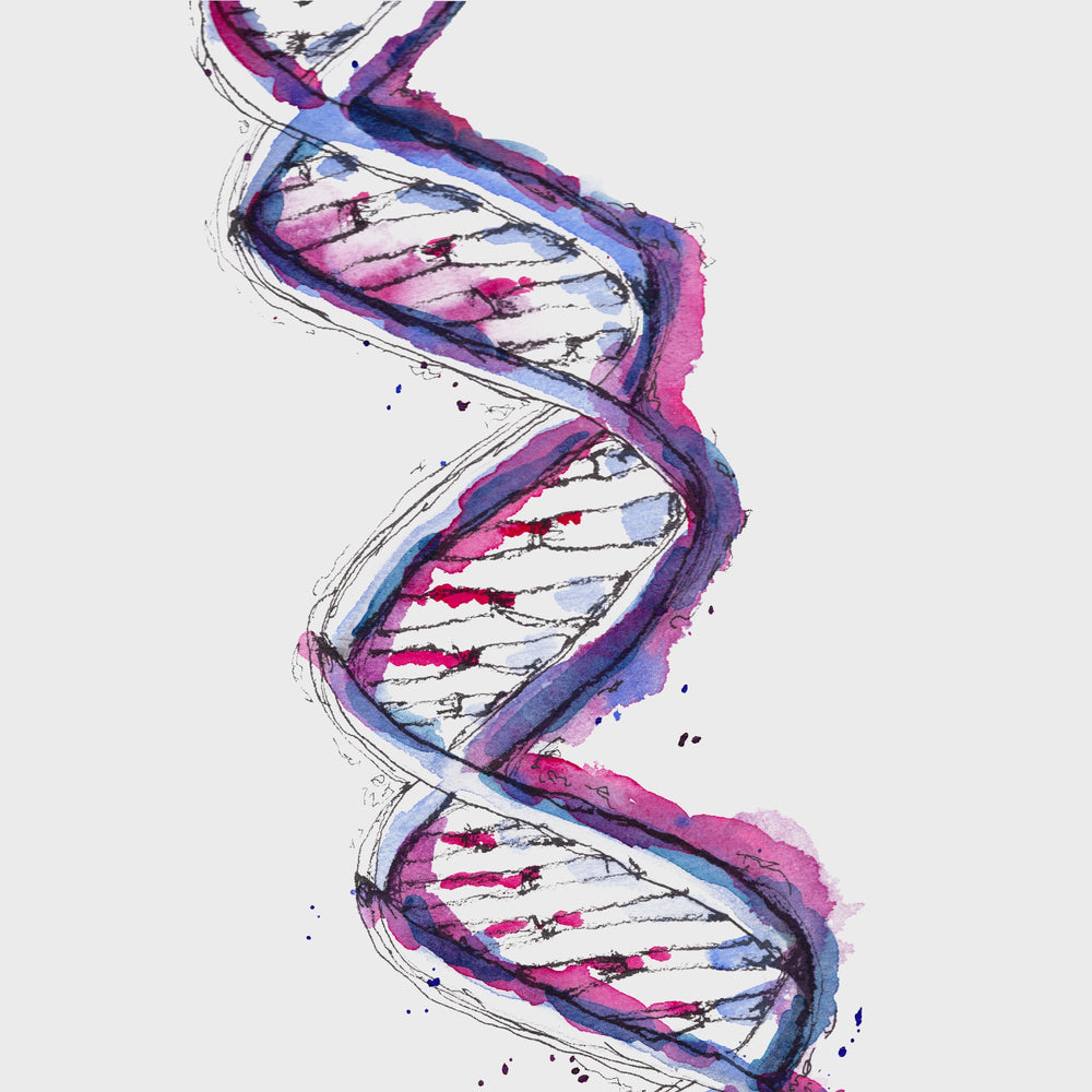 video of dna in purple watercolor painting by ontogenie