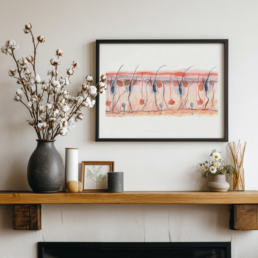 skin cross section wall art in black frame