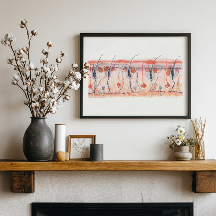 skin cross section wall art in black frame