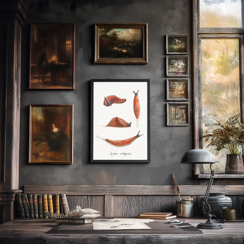 Decorative wall with framed artwork  of 4 arion vulgaris slugs and a desk with books and a lamp.