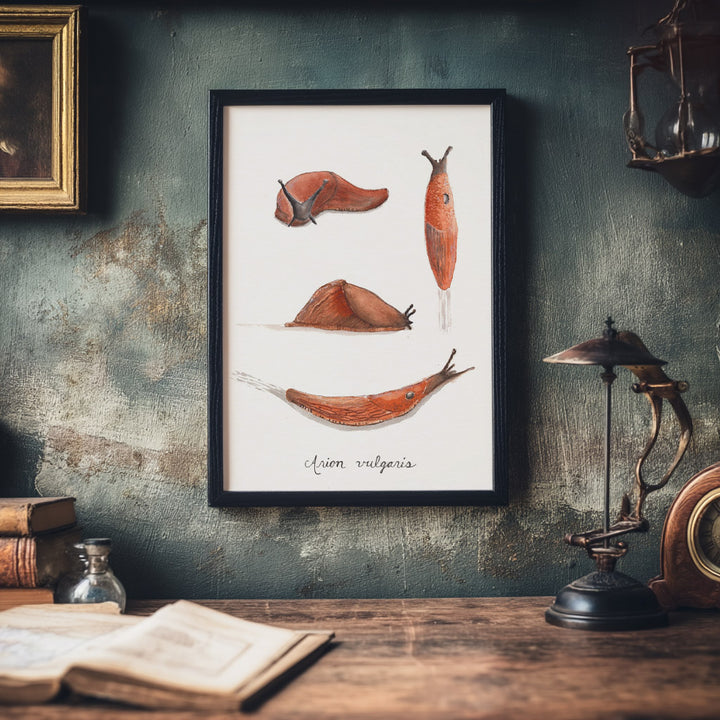 Framed artwork of slug illustrations on a rustic wall with books and a lamp.