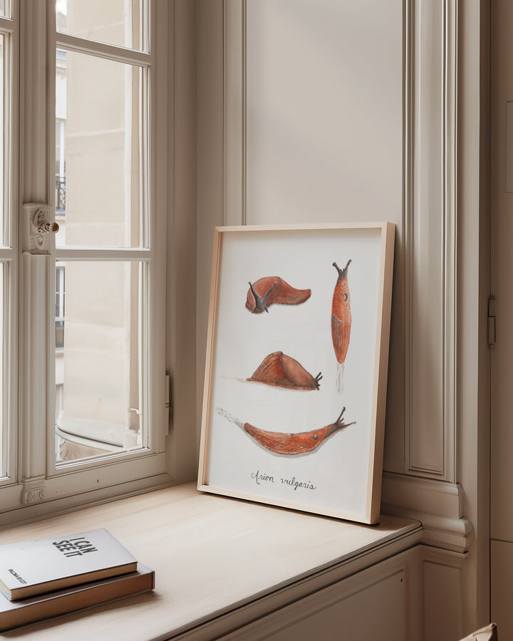 Framed artwork of slugs on a windowsill with books below