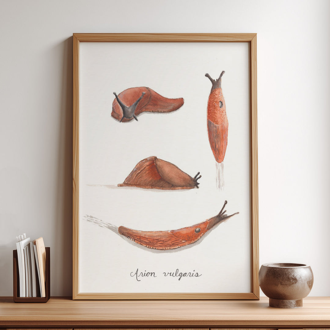 Framed artwork of slugs on a white background