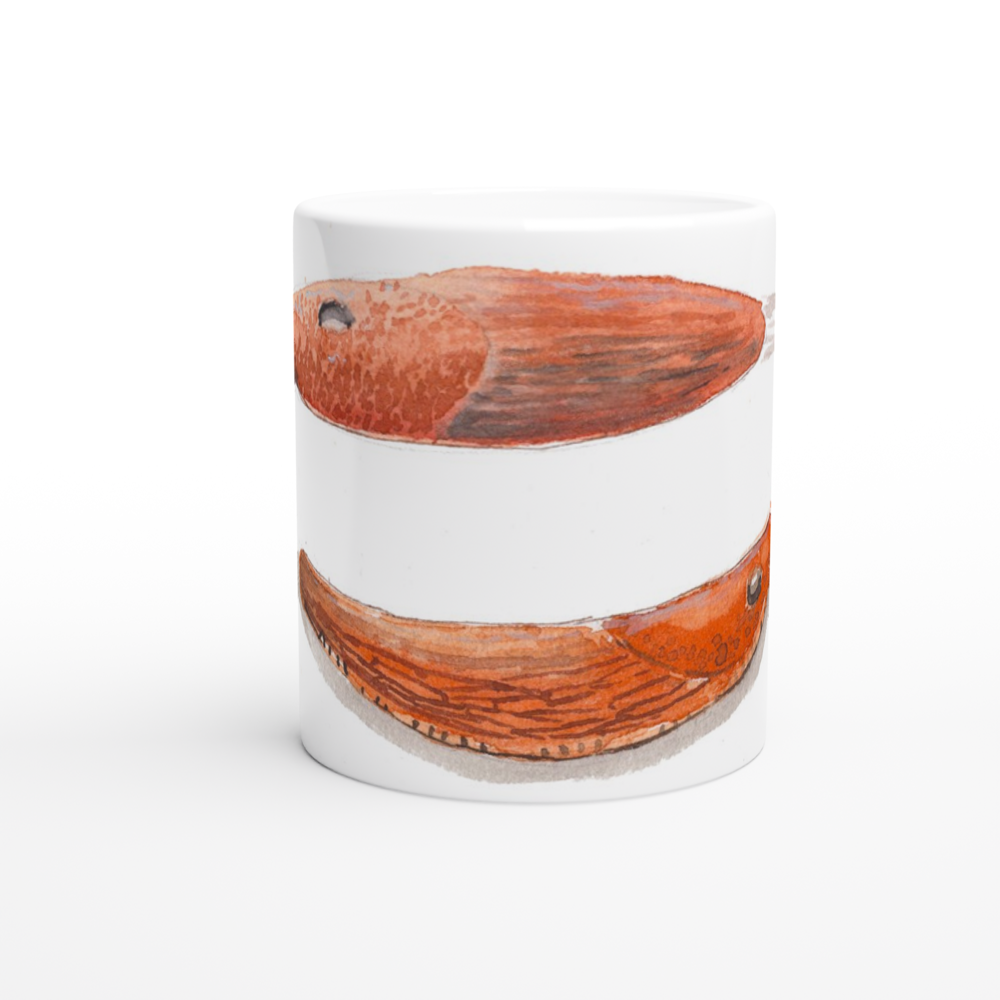 arion vulgaris slug mug standard size