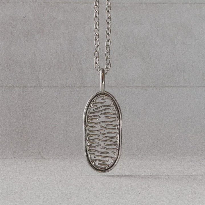 silver mitochondrion pendant rotate video