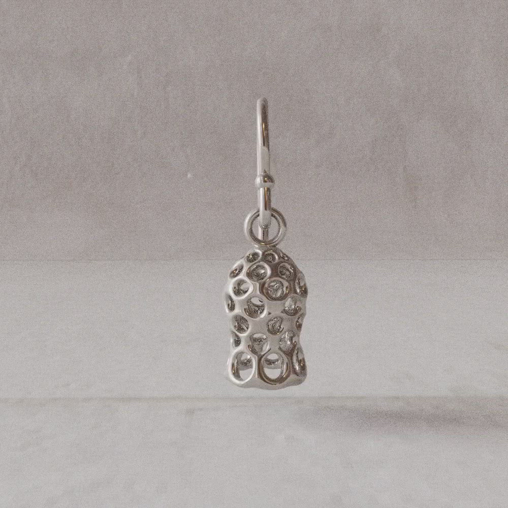 Tintinnid dictyocysta mitra earring sterling silver rotation video Ontogenie
