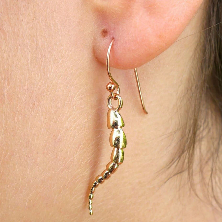 Foraminifera 'Leptohalysis' Earrings [Ontogenie Science Jewelry] 