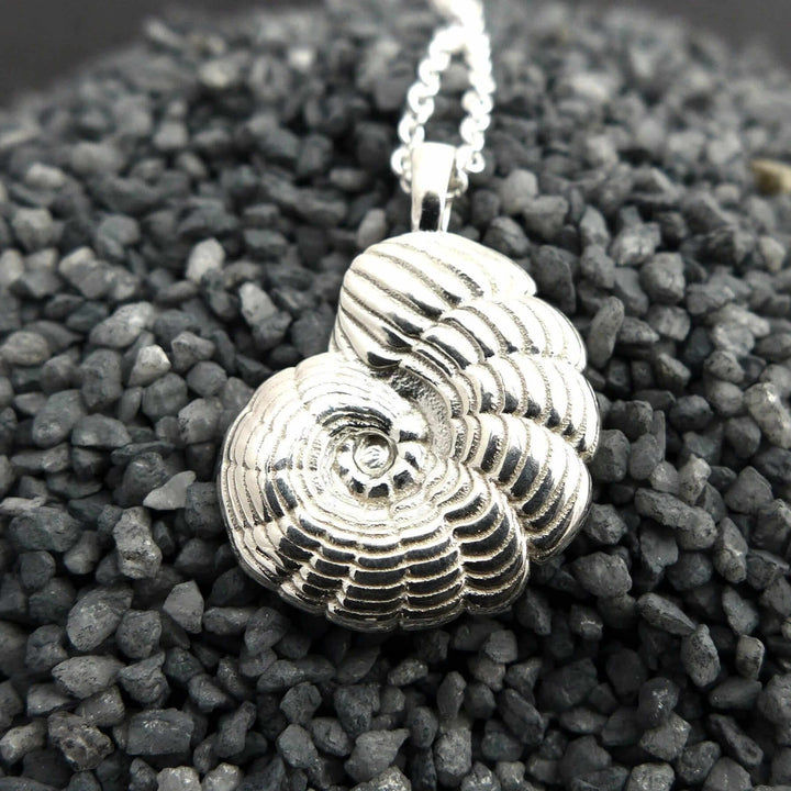 Peneroplis Foraminifera Pendant [Ontogenie Science Jewelry] Micropaleontology