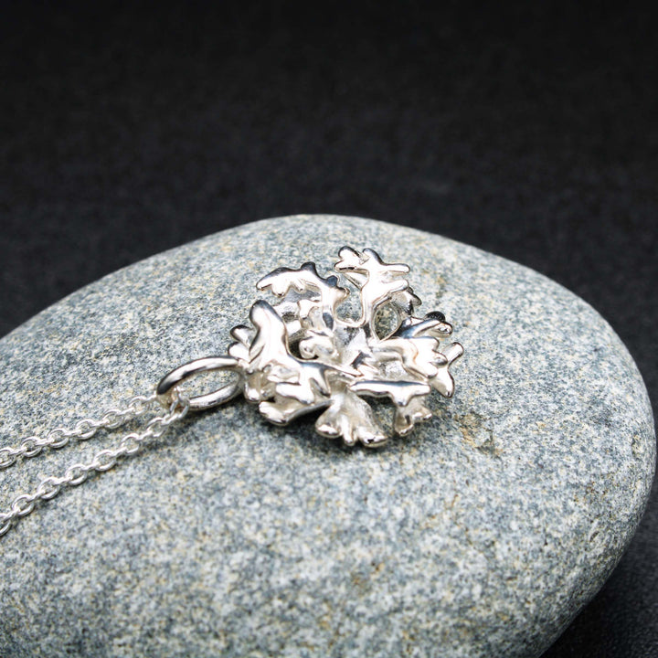 Marine Biology jewelry, acropora elkhorn coral pendant by ontogenie science jewelry