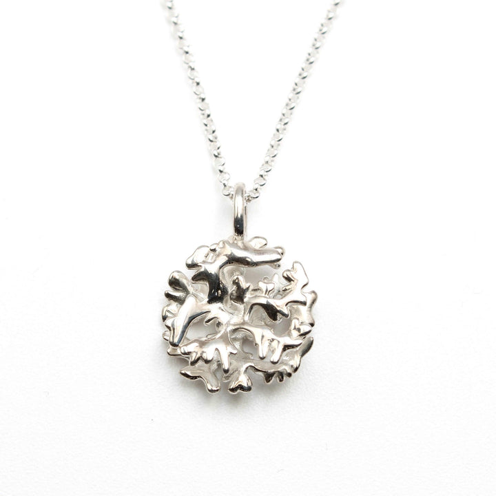Elkhorn coral Acropora pendant in sterling silver by Ontogenie Science Jewelry