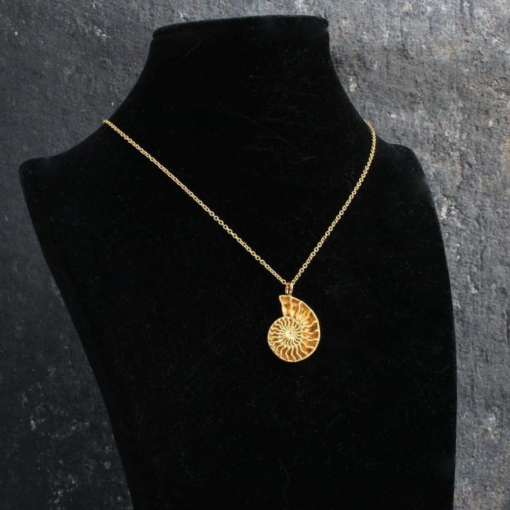 Ammonite Fossil Pendant in 14K gold plated brass, designed by [Ontogenie Science Jewelry]