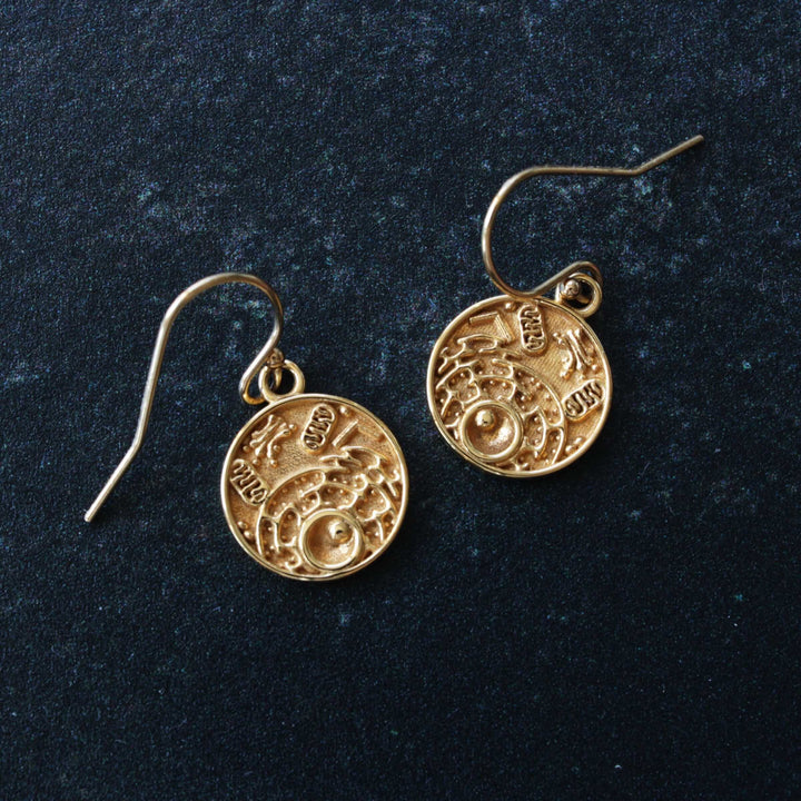 14K gold plated brass animal cell earrings, gift for biologist by ontogenie science jewelry