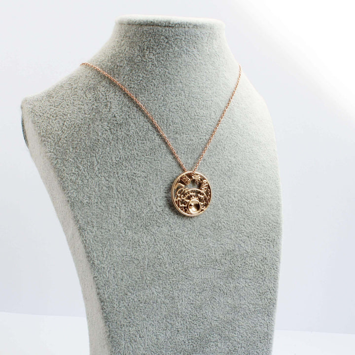 biology inspired jewelry Animal cell pendant in polished bronze by Ontogenie Science Jewelry