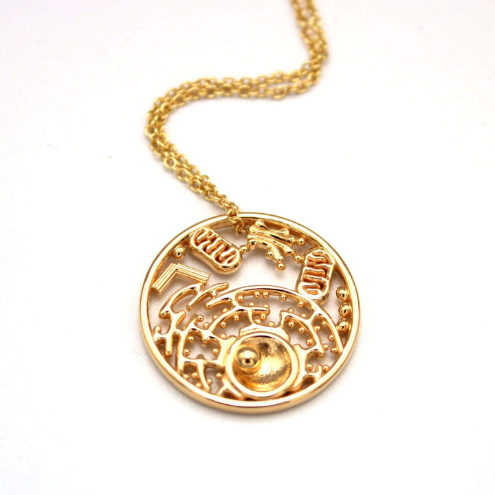 Biology inspired Animal cell pendant in 14K gold plated brass by ontogenie