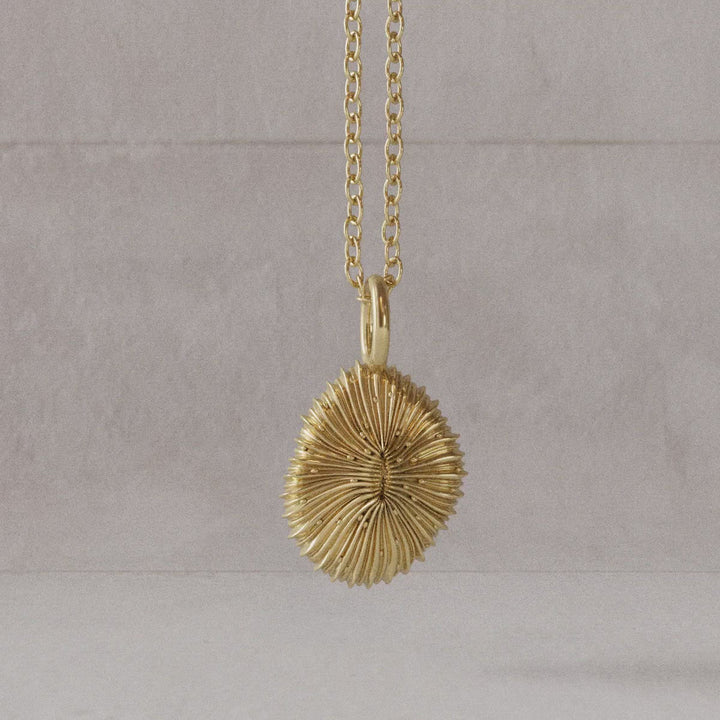 Fungia pendant in 14K gold plated brass computer rendered rotation video 
