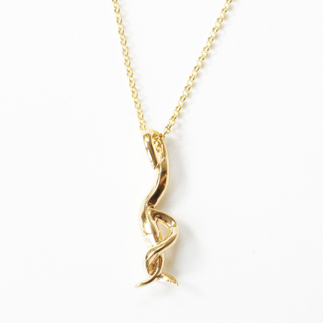 C elegans pendant in 14K gold plated brass by Ontogenie Science Jewelry