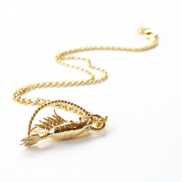 Calanoida copepod pendant in 14K gold plated brass by ontogenie
