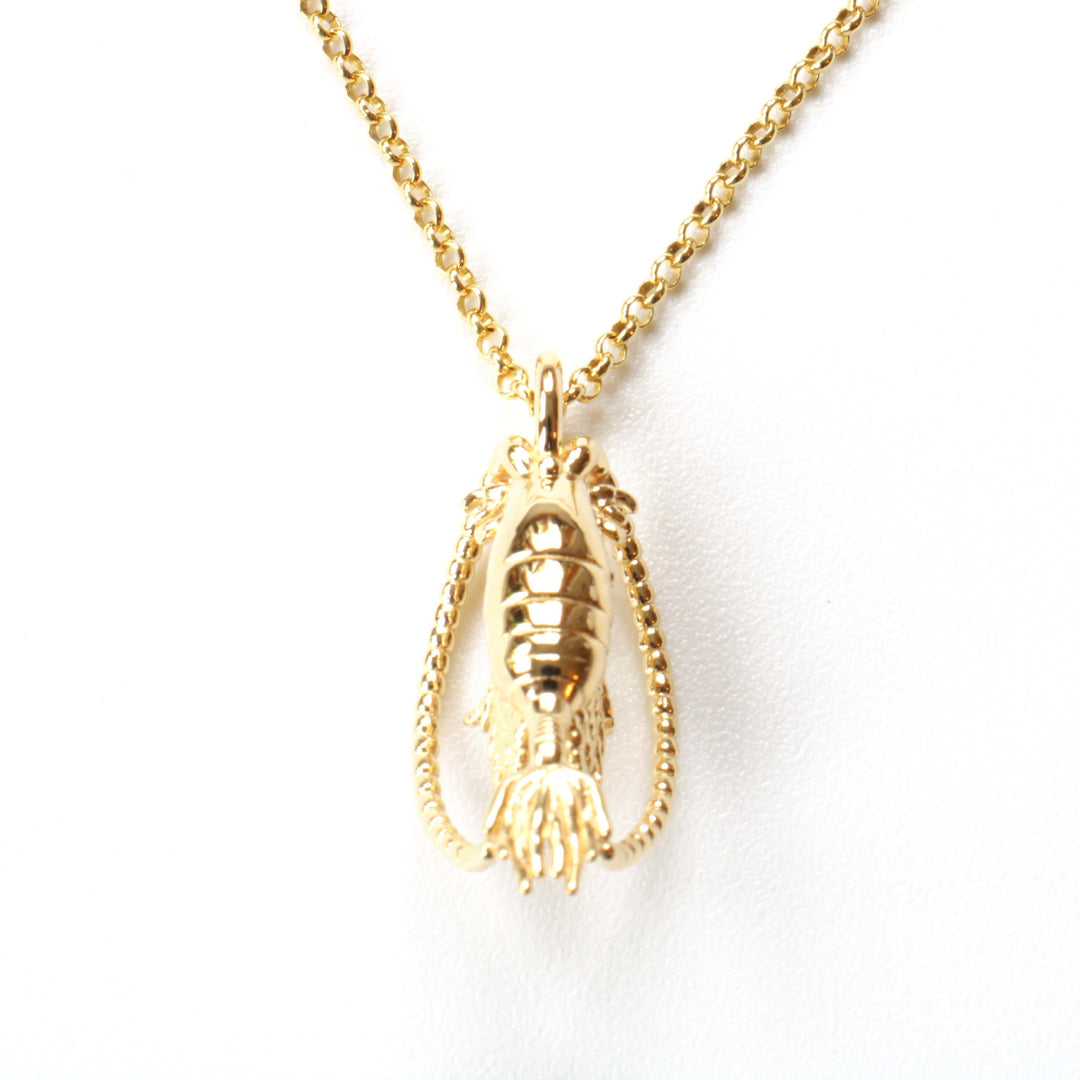 Calanoida copepod pendant in 14K gold plated brass by ontogenie