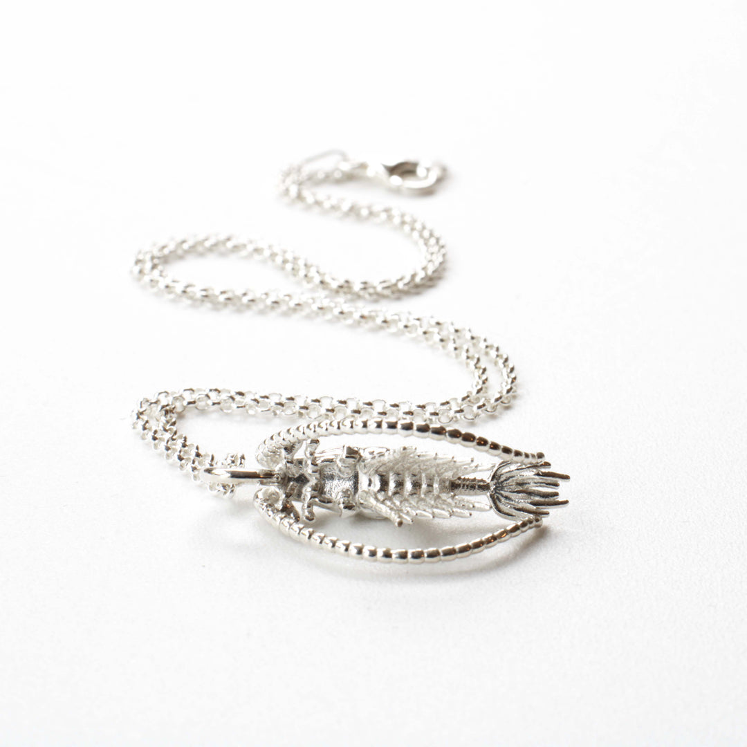 Calanoida copepod pendant in sterling silver by ontogenie