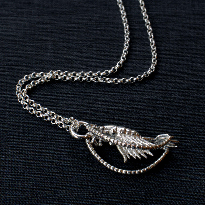 Calanoida copepod pendant in sterling silver by ontogenie