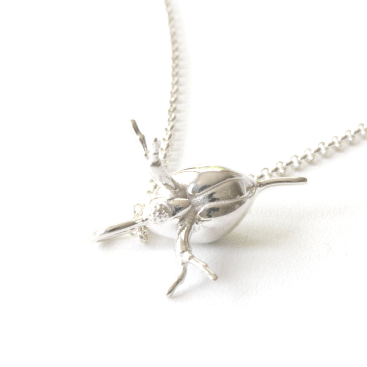 Daphnia water flea pendant in sterling silver by Ontogenie Science Jewelry
