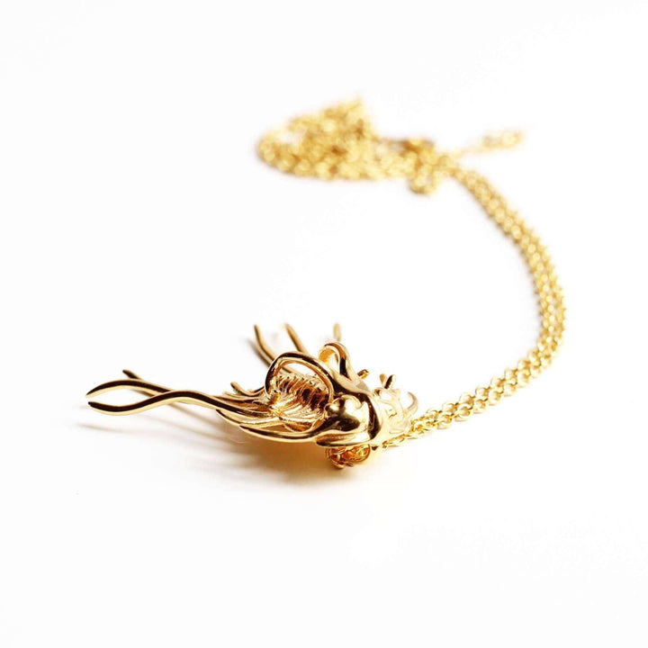 Dicranurus Trilobite Gold plated brass Ontogenie Science Jewelry