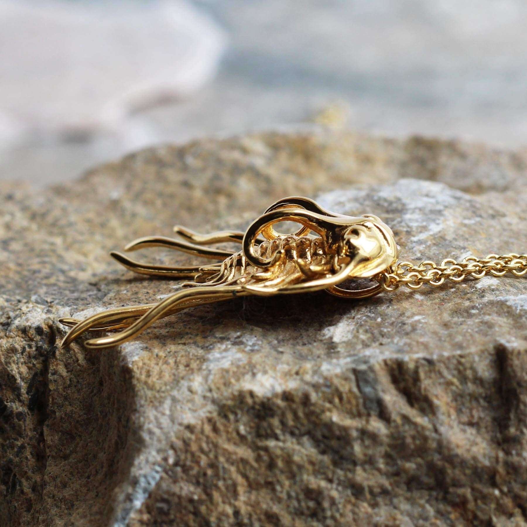 Trilobite jewelry clearance