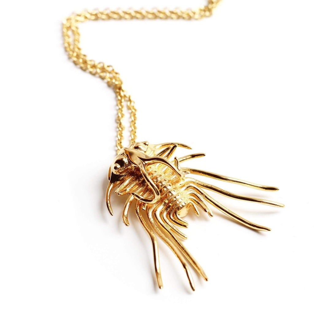 Dicranurus Trilobite Gold plated brass Ontogenie Science Jewelry