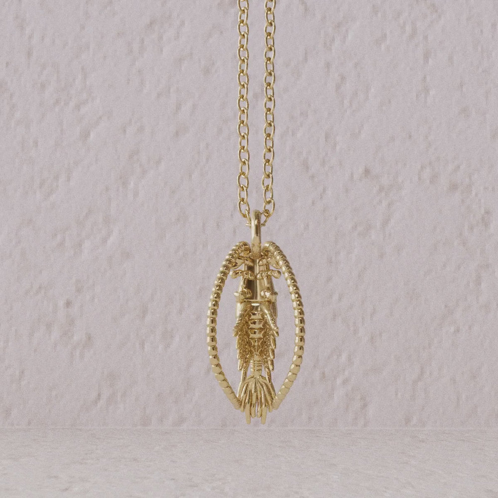 Computer render rotation video of Calanoida copepod pendant sterling in 14K goldplated brass by Ontogenie Science Jewelry