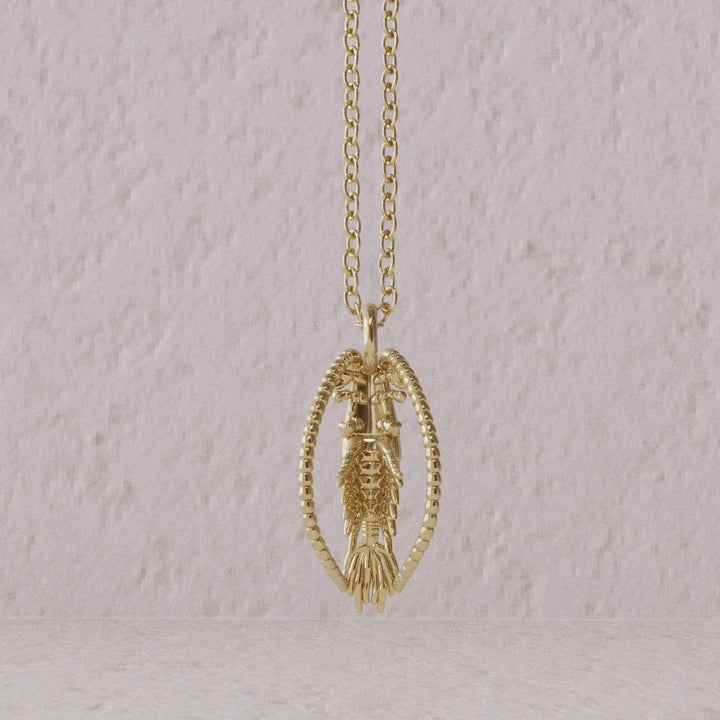 Computer render rotation video of Calanoida copepod pendant sterling in 14K goldplated brass by Ontogenie Science Jewelry