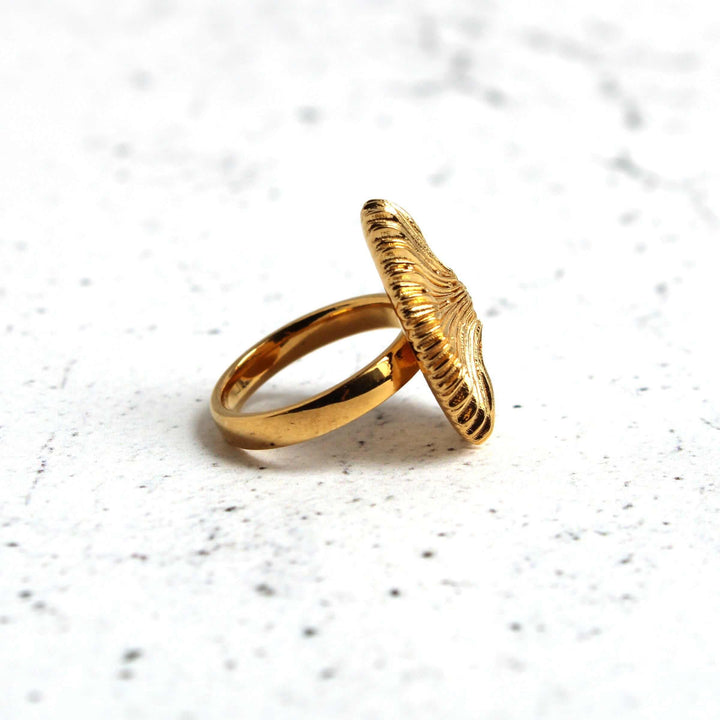 Stony coral ring Fungia in gold plated brass by ontogenie science jewelry