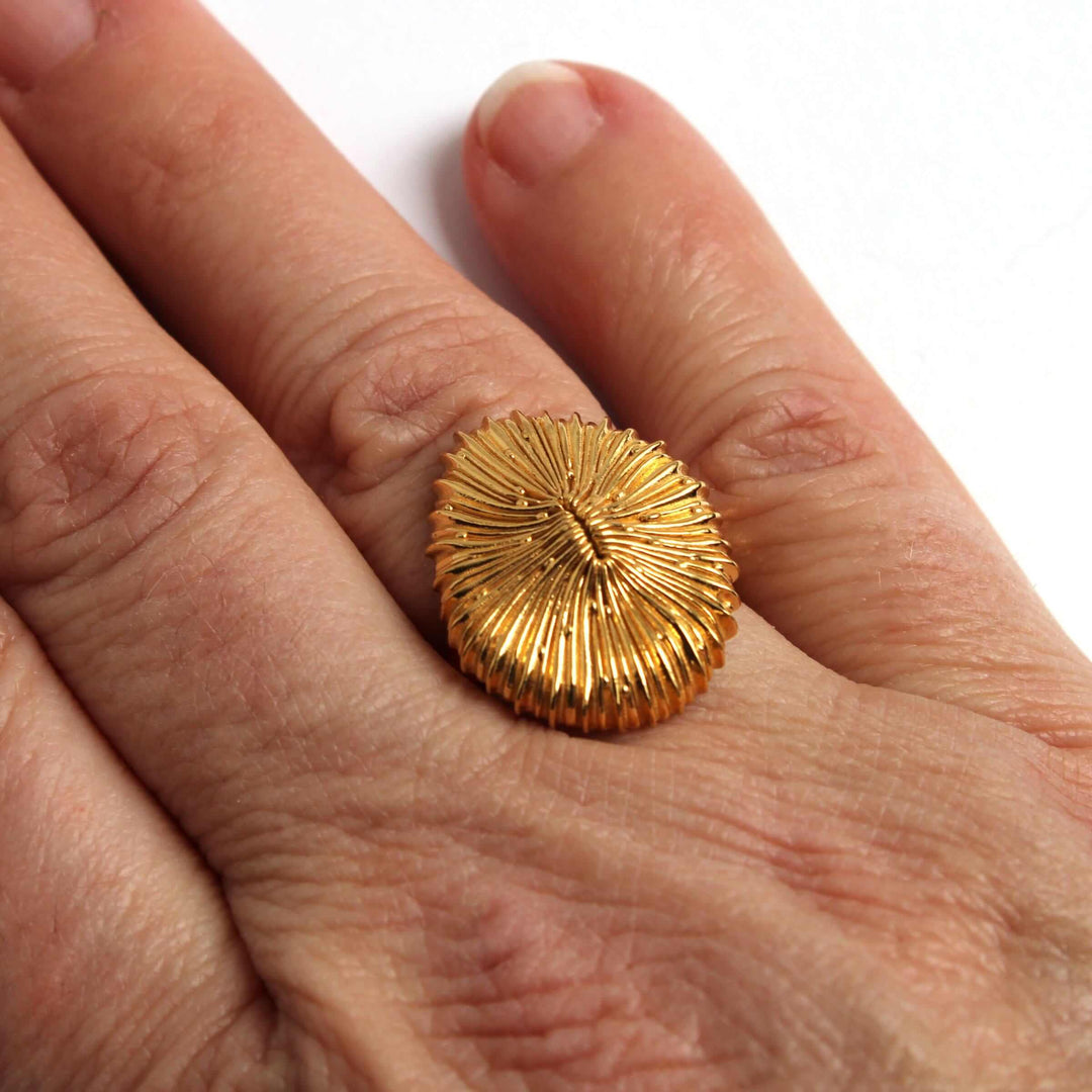 Stony coral ring Fungia in gold plated brass by ontogenie science jewelry