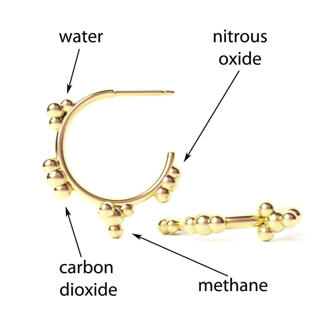 greenhouse gas earrings ontogenie science jewelry climate change