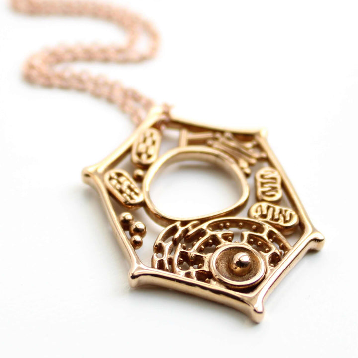 Plant Cell Pendant in polished bronze Ontogenie Science Jewelry